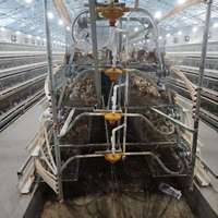 Cage d'élevage de poussins de type A pour poussins d'un jour, capacité 500-2000 poussins, galvanisée à chaud, 3/4 niveaux, pour élevage avicole