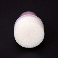 Bouteille souple vide de 75 ml, flacons de graffiti vides, pots de peinture vides, marqueurs à points vides, réutilisables, rechargeables avec de la peinture ou de l'encre.