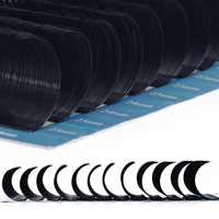 Plateau de mélange de marque privée Extensions de cils en soie 3D B C Cc D Cd L Curl Fournisseurs d'extensions de cils