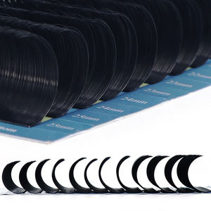 Plateau de mélange de marque privée Extensions de cils en soie 3D B C Cc D Cd L Curl Fournisseurs d'extensions de cils - Product Image 3