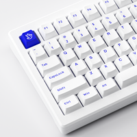 Akko MOD 007B PC Blue White OEM Mechanical Keyboard PBT Keycaps Multi-mode Hot-Swappable RGB Backlit Custom 75% 3600mAh Battery