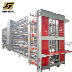 <span class=keywords><strong>Cage</strong></span> à poules pondeuses pour élevage en batterie, équipement d'élevage pour fermes avicoles - Product Image 1