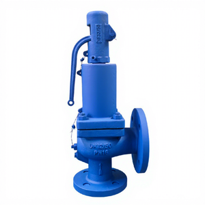 Válvula de alivio de presión directa con resorte fundido SV607DS 901/902, con extremo de brida, puerto DN32, para caldera de alta temperatura - Product Image 2