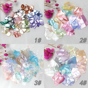 Hot Sale Colorful 12 Grids Easy Apply 3D Irregular Mermaid Nail <b>Sequins</b> Abalone Sea Shell Flakes for UV Gel Nail <b>Art</b> - Product Image 2