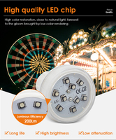 Lampe décorative LED à pixels 45 mm AC24V automatique pour cabochon, IP65, pour parcs à thème, vente directe usine
