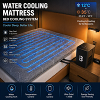 Matelas refroidi par eau pour système de refroidissement intelligent de lit, coussin à température réglable pour chambre, hôtel, usage en station balnéaire