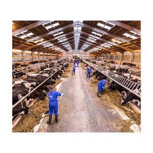 A basso costo prefabbricato caseificio della mucca caseificio struttura in acciaio mungitura capra fattoria edificio per la vendita - Product Image 1