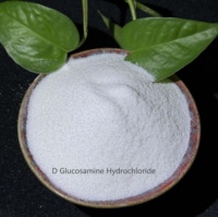 Poudre de chlorhydrate de D-glucosamine, améliorants nutritionnels, antioxydants, teneur de 98 %, qualité alimentaire, additifs alimentaires certifiés ISO