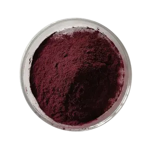 Preço de atacado Pigmento comestível de qualidade alimentar natural vermelho cochineal carmim em pó