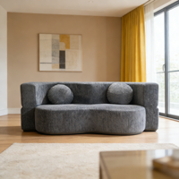 Canapé modulaire moderne compressé et rembourré, scellé sous vide, idéal pour villa et famille, avec oreillers assortis et surface conviviale pour les collations