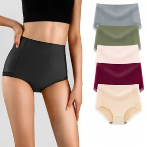 OEM/ODM High Quality Customizable Women's Spandex Briefs XL Plus Size Sexy Underwear Cheap Price for Daily Use Export Oriented
