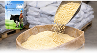 BlueRumen RumiLys - Premezcla de Enzimas y Vitaminas con L-lisina Específica para Ruminantes, Aditivo para Alimento, Shandong, para Ganado Vacuno y Ovino, Estimula el Crecimiento y la Salud