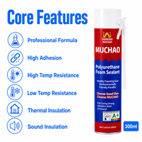 MUCHAO 300ml A21 Mastic Polyuréthane Écologique Formule Professionnelle Usage Construction Monocomposant Haute et Basse Température