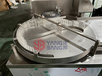 Nettoyeur rotatif de flacons en verre YB-ZX100 pour le lavage des flacons d'ampoules de liquides oraux destinés aux lignes de remplissage
