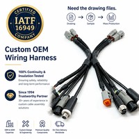 Faisceau de câblage OEM pour panneau de commande d'alarme incendie (FACP) avec connecteurs Deutsch 2/4/8 broches, assemblage personnalisé