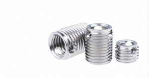 Horse Riding Pipe <strong>Clamp</strong> 304 Stainless Steel Polished Right Hand 8.8 Grade ISO9001 Certified (M3-M16) - Product Image 5
