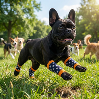Protège-jambe anti-égratignures toutes saisons en polyester pour animaux de compagnie