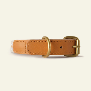 <span class=keywords><strong>Collar</strong></span> de perro personalizado con nombre grabado con láser <span class=keywords><strong>Collar</strong></span> de mascota duradero para seguridad y estilo - Product Image 3