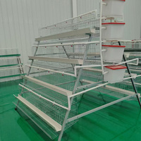 Cage à poules pondeuses de type A pour 160 oiseaux, cage à batterie pour volailles, en acier galvanisé, nouvelle utilisation domestique, équipement d'élevage automatique
