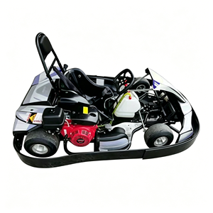 Karts de qualité supérieure résistants à la corrosion pour parcs d'attractions en bord de mer et utilisation à long terme - Product Image 3