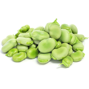 OEM ODM Kacang <span class=keywords><strong>Fava</strong></span> Hijau Kelas Makanan, Kacang <span class=keywords><strong>Fava</strong></span> Kering Bulat Kecil hingga Sedang, Ekstrak Biji, Grosir, Partai Besar - Product Image 6
