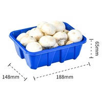 Ventes chaudes : Barquette jetable en plastique PET pour viande, légumes et champignons frais