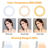 Meilleure vente d'usine Led 3 lumières maquillage anneau lampe 10/12 pouces avec trépieds support Selfie lumière LED pour la vidéo en direct pour tous les téléphones