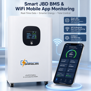 Batería LiFePO4 de 51.2V 314Ah 16kWh con Supresión de Incendios por Aerosol, WiFi, JBD BMS, 6000 Ciclos, Almacenamiento Solar Móvil, Stock en Almacén de Polonia - Product Image 1