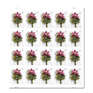 Timbres-poste autocollants Forever Everglades Royaume-Uni, Époque <span class=keywords><strong>de</strong></span> domination britannique, 2020, Fleurs du jardin, Étiquettes <span class=keywords><strong>de</strong></span> timbres-poste bon marché - Product Image 1