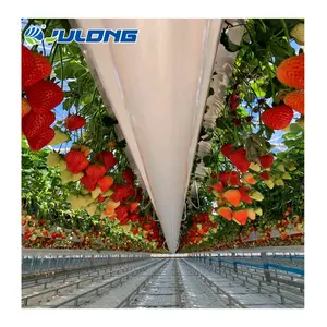 Agricultural Greenhouse Hydroponic Strawberry Multi Span Greenhouse Hydroponic Greenhouse Supplies