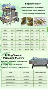 Giải pháp sản xuất zongzi hiệu quả/dây chuyền sản xuất bao bì tự động zongzi - Product Image 5