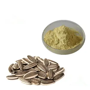 Factory Supply Natural Sunflower Seed Extract Sunflower Lecithin Powder 95% Free Sample Available