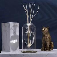 Diffuseur de parfum en verre à double paroi transparent personnalisé, huile essentielle d'aromathérapie, bâtonnets d'encens, pot en verre avec fruit étoilé à l'intérieur