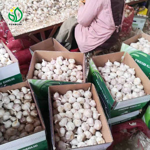 <span class=keywords><strong>Ajo</strong></span> <span class=keywords><strong>chino</strong></span> Normal Blanco Rojo Púrpura Mercado <span class=keywords><strong>Ajo</strong></span> Pelado <span class=keywords><strong>Ajo</strong></span> <span class=keywords><strong>Chino</strong></span> Semillas <span class=keywords><strong>de</strong></span> <span class=keywords><strong>ajo</strong></span> para plantar - Product Image 2