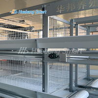 Équipement d'élevage de poulets de chair Système automatique Cage pour poulets de chair
