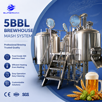 Máquina de Cervecería Artesanal de Venta Caliente 500L/5BBL con Control PLC, Bomba, Rodamiento, Motor de Acero Inoxidable SUS304, Fácil Certificación CE