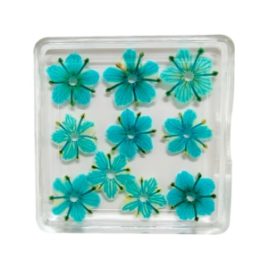 Vente flash Fleurs séchées originales pour l'art des ongles Fleurs séchées pressées pour l'artisanat en résine Vraies fleurs pour les ongles - Product Image 6