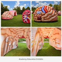 Modèle interactif gonflable personnalisé de cerveau, cœur et poumons pour exposition anatomique, événements de santé, éducation scientifique et musées