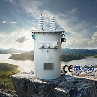 Transformadores de Media y Alta Tensión Resistentes a la Intemperie 11kV/10kV 60Hz 37.5KVA 50kVA 100kVA Monofásicos Sumergidos en Aceite para Montaje en Poste