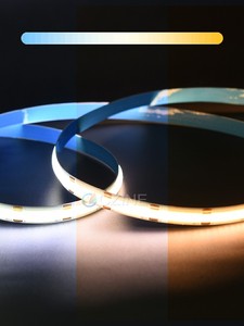 Đèn <span class=keywords><strong>Cob</strong></span> IP65 Đèn Dây Chống Nước Có Ống Kính Biển Quảng Cáo Thương Mại Dải Đèn <span class=keywords><strong>Led</strong></span> <span class=keywords><strong>COB</strong></span> Dc 12V - Product Image 2