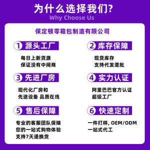 Sac fourre-tout pour femme Tiancai Wings, collection Printemps 2026, design tendance, fermeture éclair horizontale carrée, pour tenues quotidiennes, sac bandoulière - Product Image 5