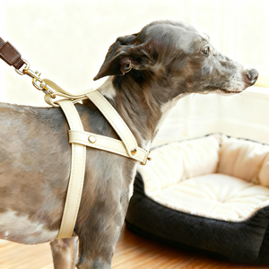 Fullto ラグジュアリー ペット ハーネス 新デザイン ハンドメイド パーソナライズド レザー 犬用ハーネス - Product Image 2