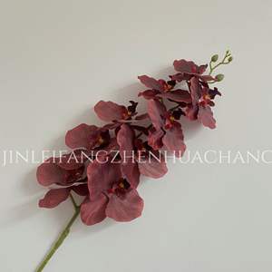 High-Grade Handmade Silk Phalaenopsis <strong>Flower</strong> For Wedding Floral Ceiling Simulation Design Wholesale Floral Ceiling <strong>Flower</strong> - Product Image 2