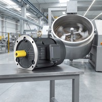 Moteurs électriques à induction triphasés en fonte IP55 pour agitateur