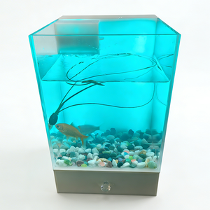 Aquarium carré moderne mini lumineux en acrylique transparent - 3L, sans entretien, avec filtre automatique et tiroir inférieur pour alimentation/stockage - Product Image 1