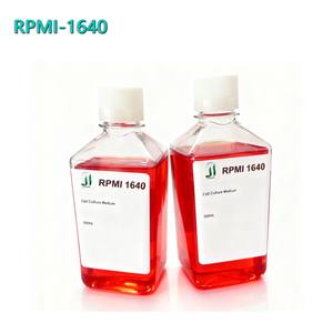 Medio de Cultivo en Polvo RPMI1640 50L Adecuado para Cultivo de Células Hematopoyéticas e Híbridos - Product Image 3