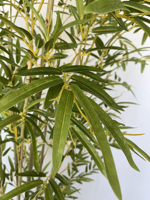 120CM Vert En Plastique Bonsaï Artificiel Bambou Arbre Plante Arbre Artificiel Intérieur Extérieur Décoration