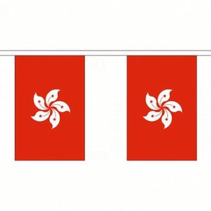 Guirnalda de Banderines con la Frase '26 Años Desde la Devolución de Hong Kong a la Madre Patria', Calidad Premium para Decoración, Venta al Por Mayor - Product Image 3