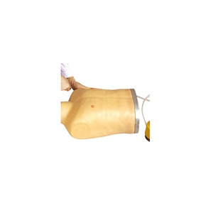 Mannequin thoracique pour la formation en soins infirmiers sur la décompression et la tension du pneumothorax, en PVC, pour les écoles et les hôpitaux - Product Image 4