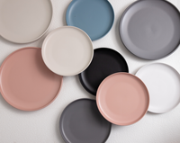 Assiettes en Grès Céramique en Gros, Bord Vertical Japonais Noir, Blanc, Rouge et Beige avec Fini Poli pour Restaurants et Hôtels – Plateaux de Service